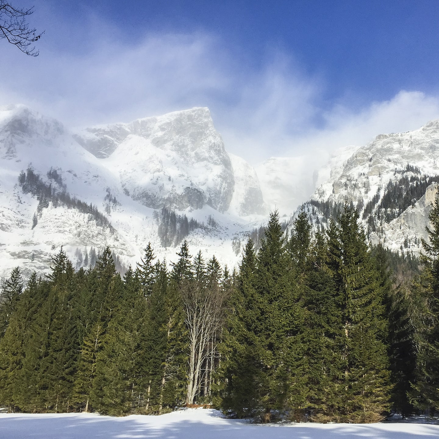 Eine schneebedeckte Landschaft in sonnigem Wetter vor dem Hochschwab-Massiv.