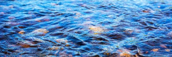 Close-up of a clear river with rocks visible beneath the surface.