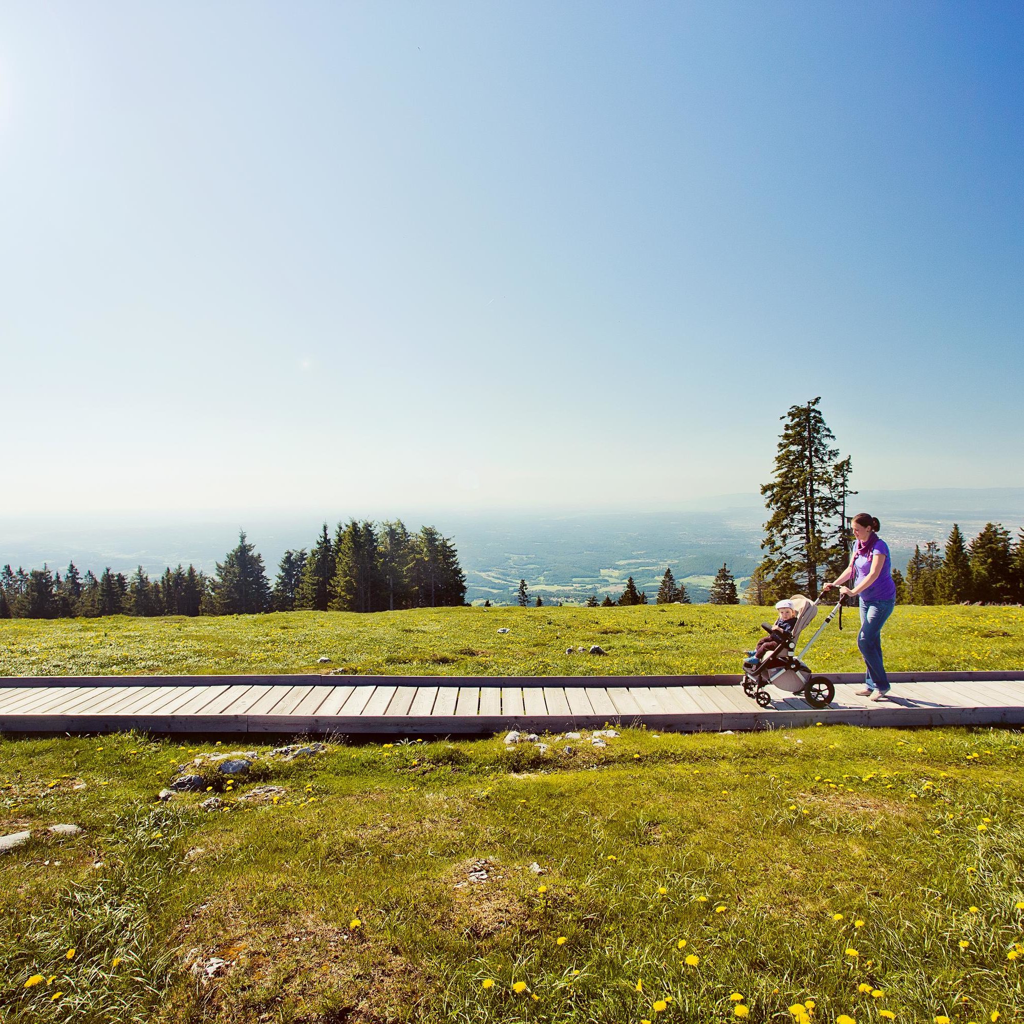 A woman pushes a stroller along a wooden path on the Schöckl plateau.
