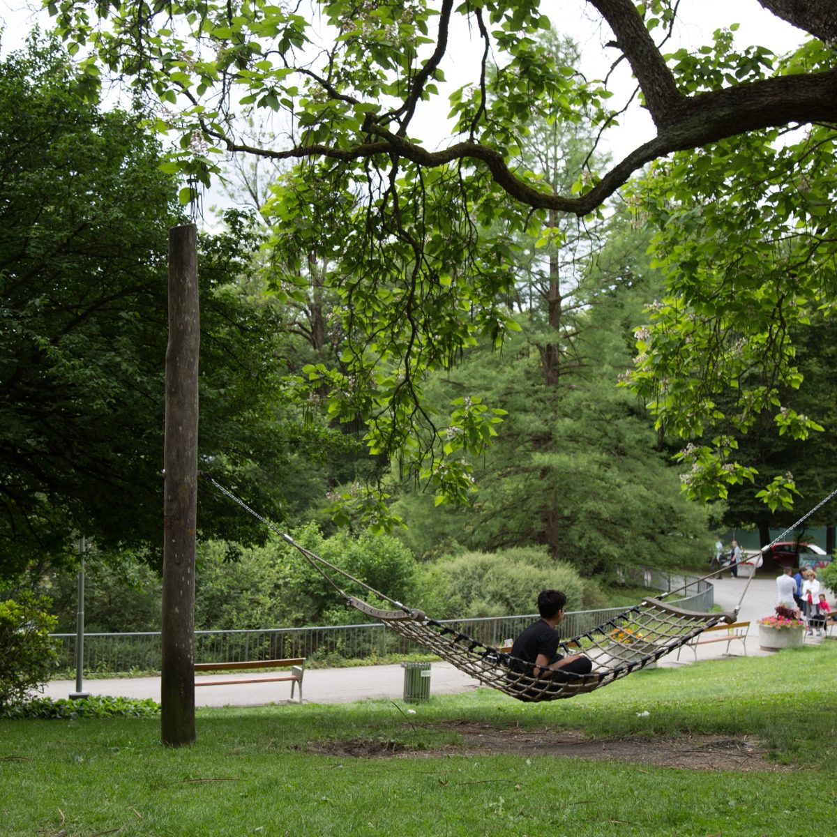 A person relaxes in a hammock under a tree at the Hilmteich.