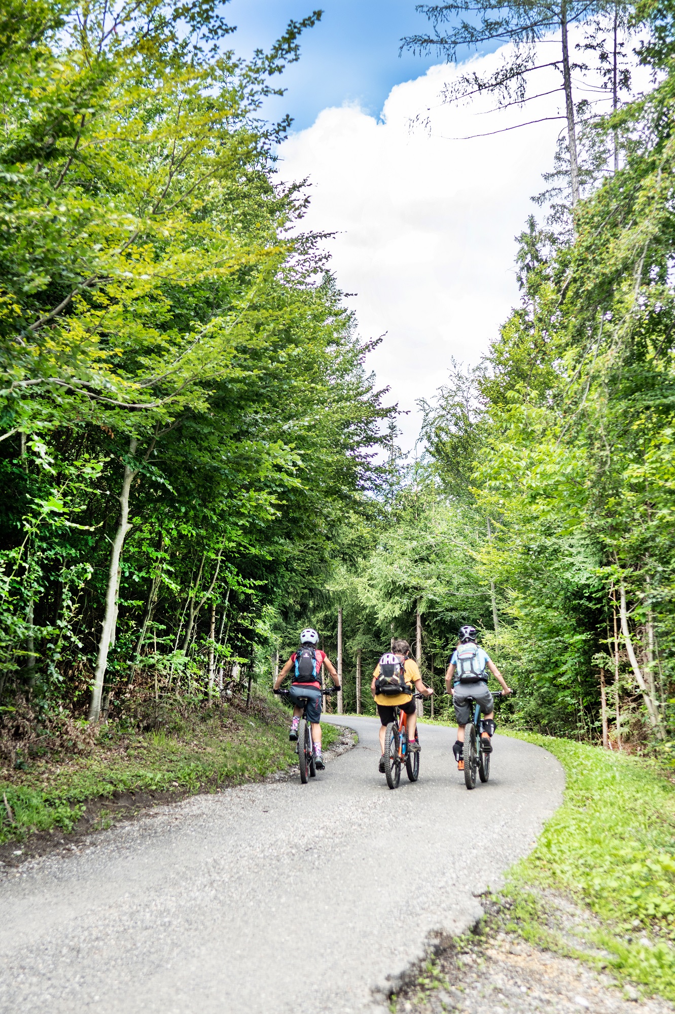 Three mountain bikers ride on a paved path through a forest in Plabutsch.