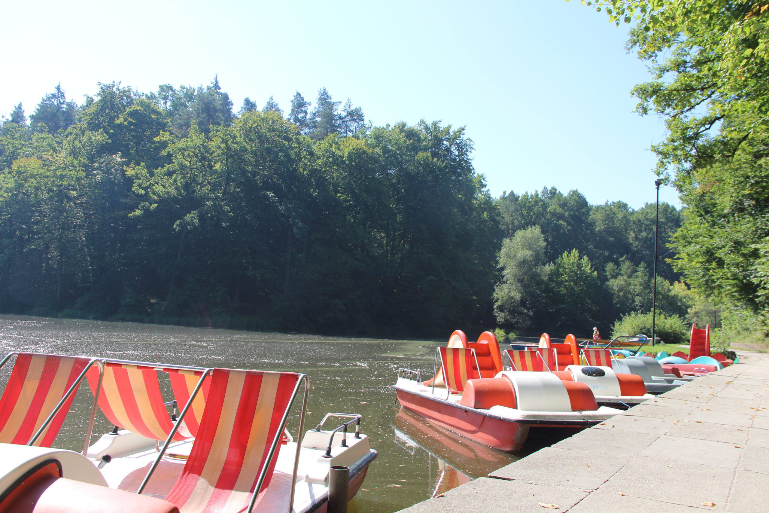 Several pedal boats are docked at the Thalersee, a lake surrounded by trees.