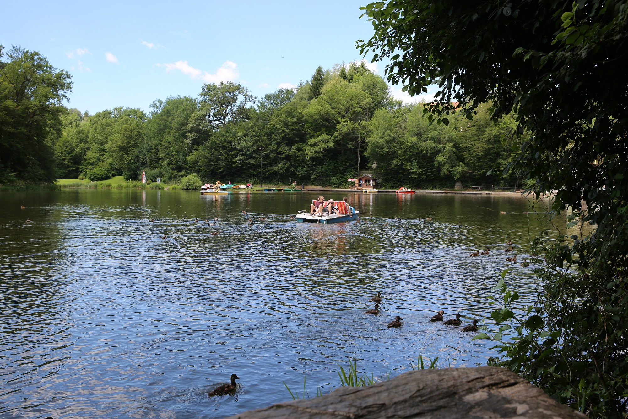 A view of the Thalersee with ducks swimming and people in a pedal boat.