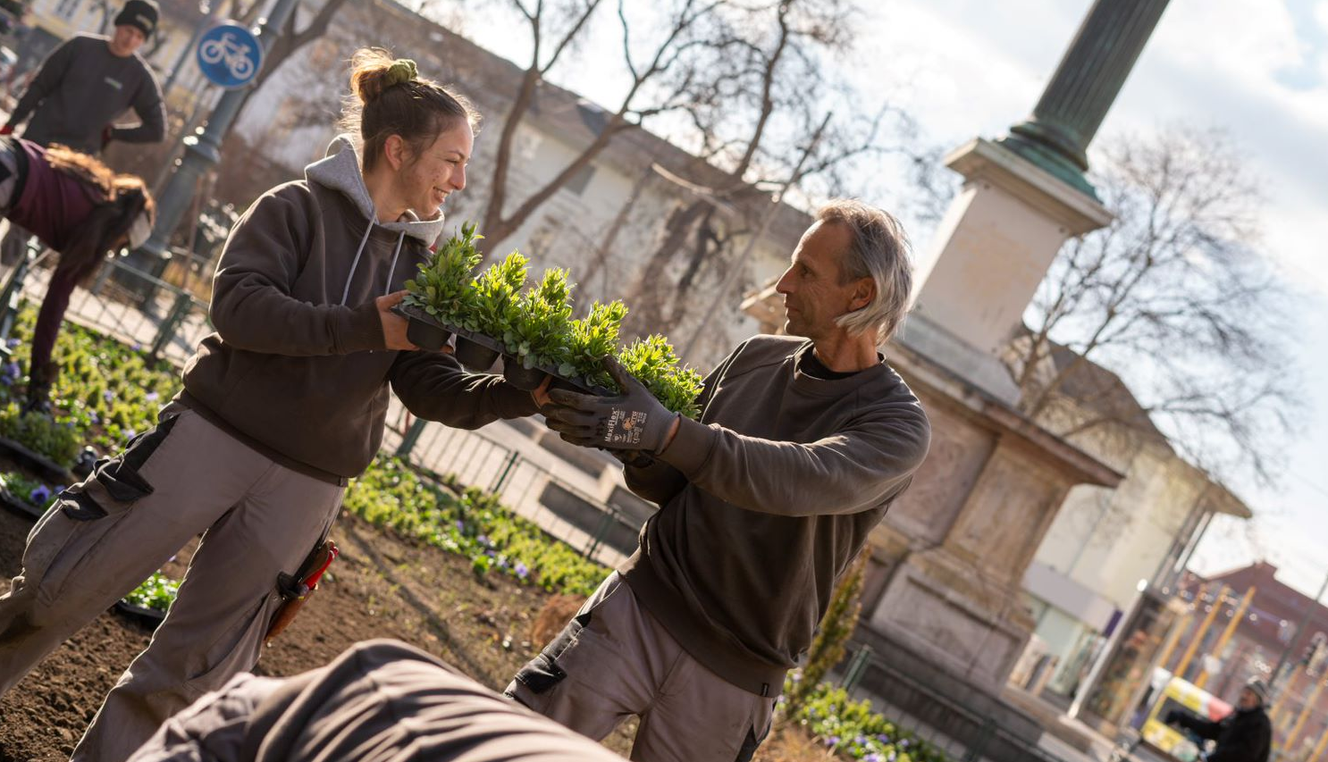 Gärtner-Team pflanzt Blumen im Park, eine Person übergibt Pflanzentöpfe, sonniger Tag im Hintergrund.