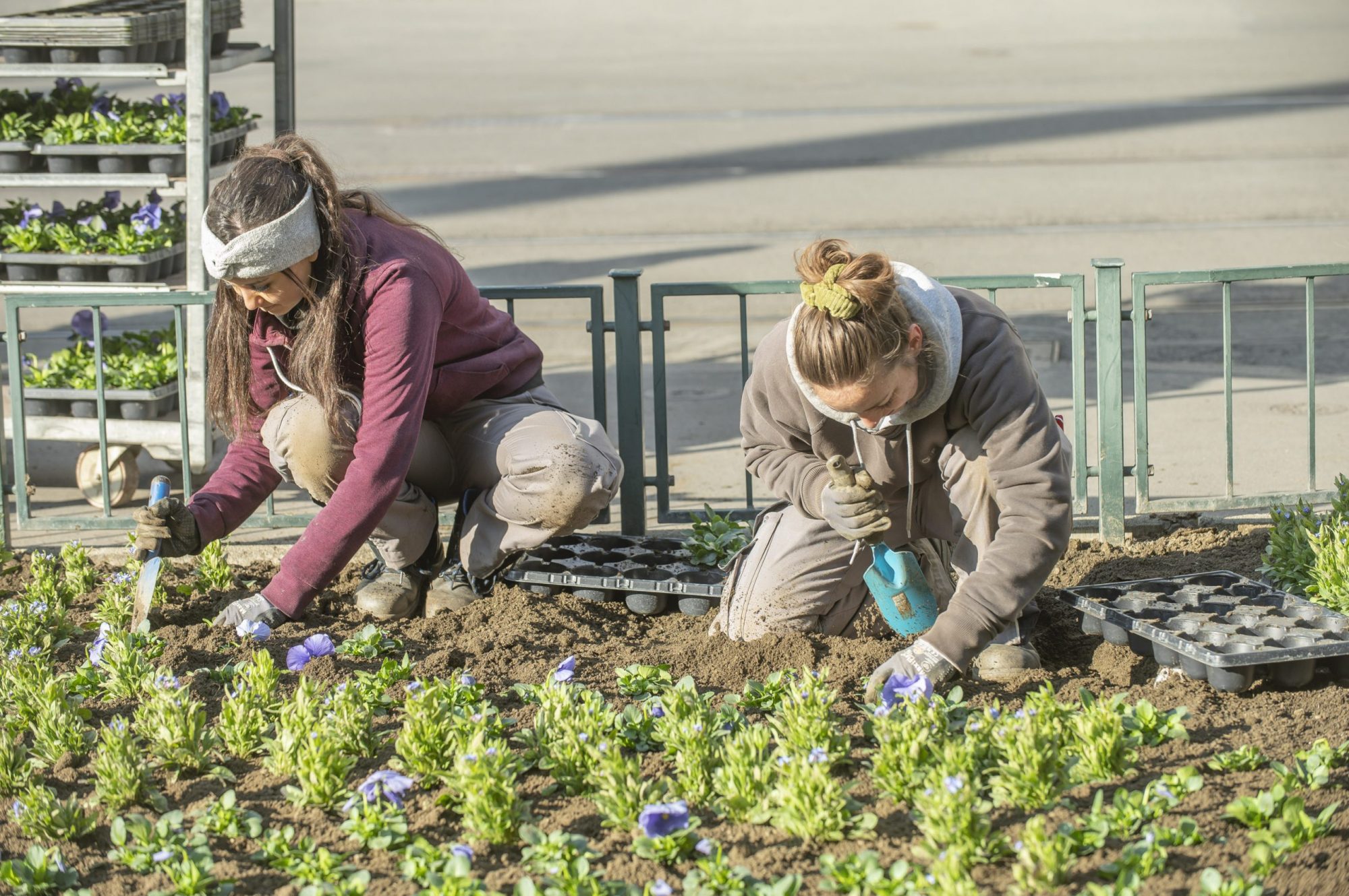 Die Stadtraum-Mitarbeiterinnen Elena Gunzer und Nadine Fickel beim Pflanzen von Blumen in einem Beet