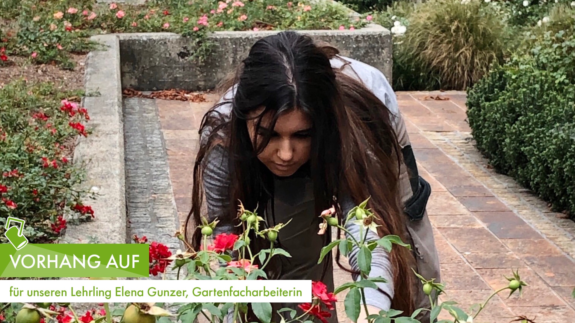 Lehrling Elena Gunzer bei Gartenarbeit, umgeben von blühenden Rosen und gepflegtem Grün.