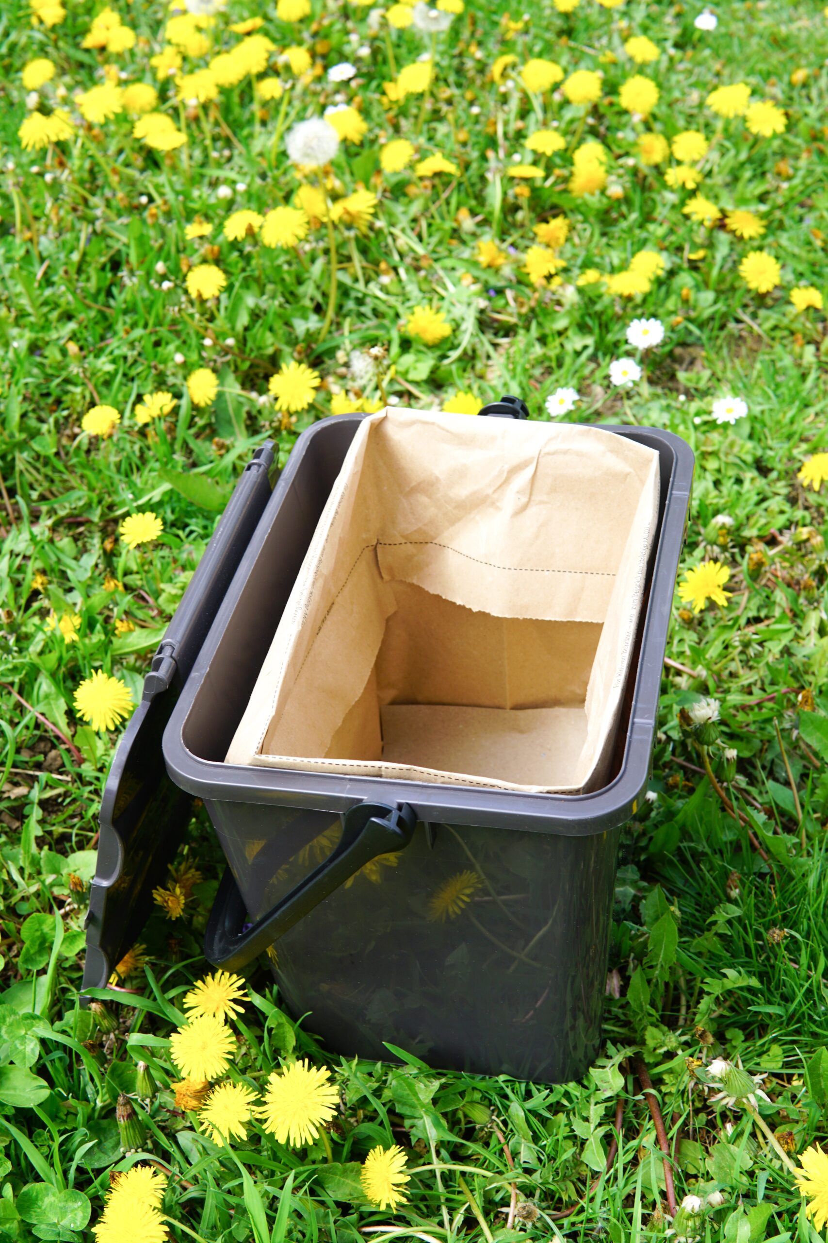 Offener Bioabfallbehälter mit Papiertüte auf einer Wiese mit gelben Löwenzahnblüten.