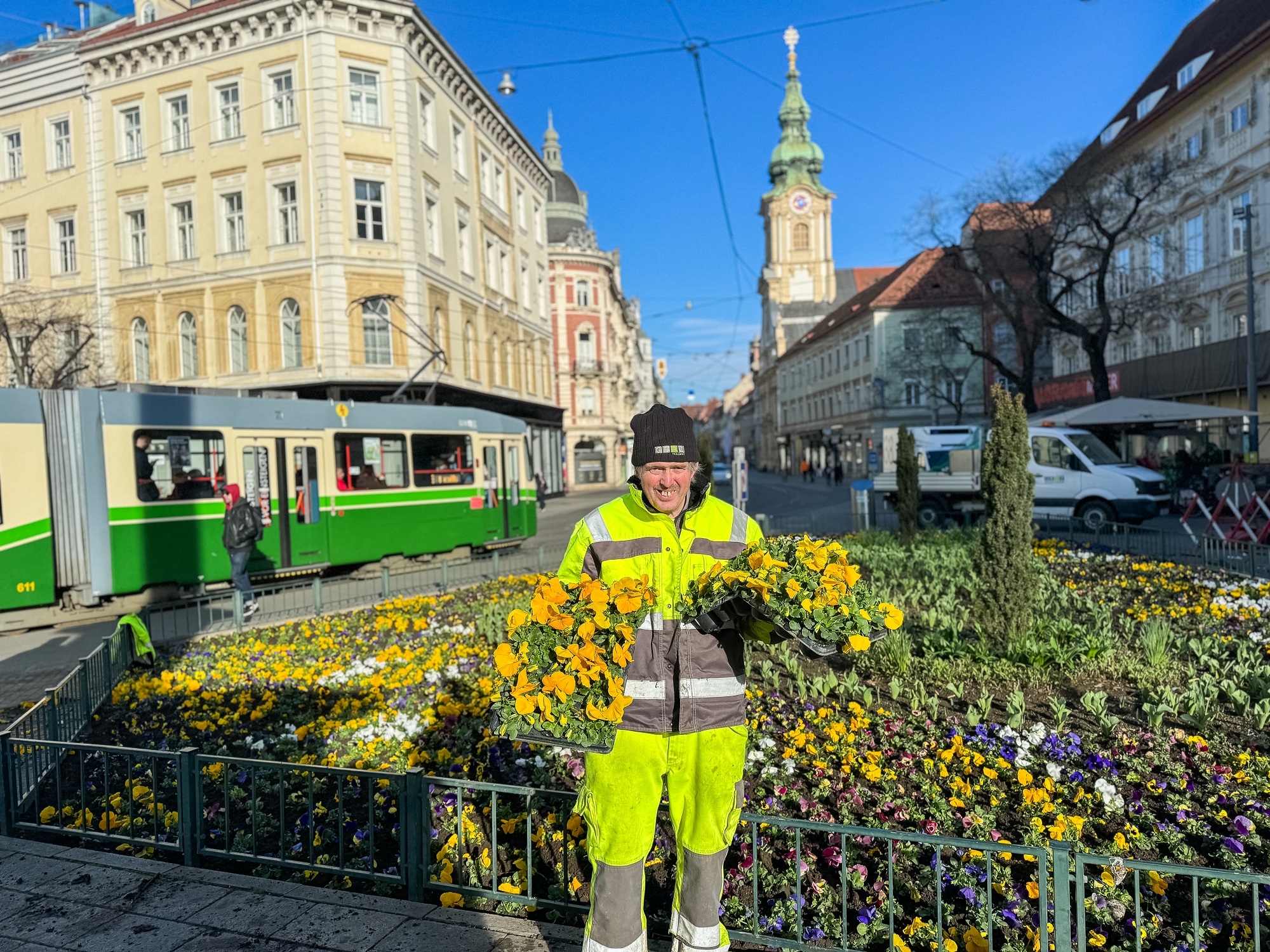 Gärtner in Arbeitskleidung pflanzt gelbe Blumen in Grazer Innenstadt, Straßenbahn und Kirche im Hintergrund.