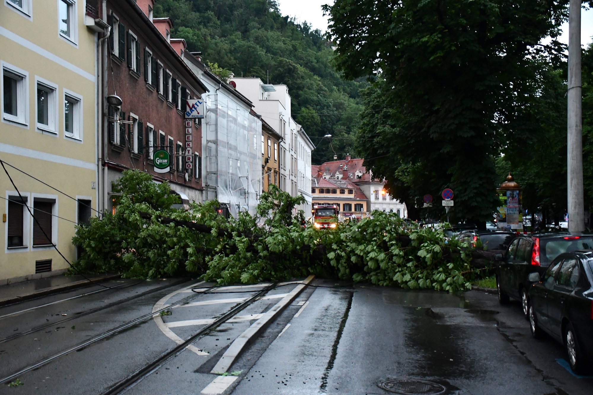 Ein umgefallener Baum blockiert die Körösistraße in Graz.