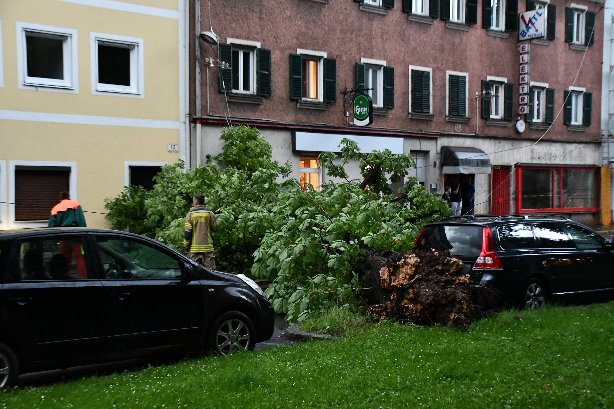 Ein umgestürzter Baum blockiert die Körösistraße, erliegt zwischen zwei geparkten Autos.