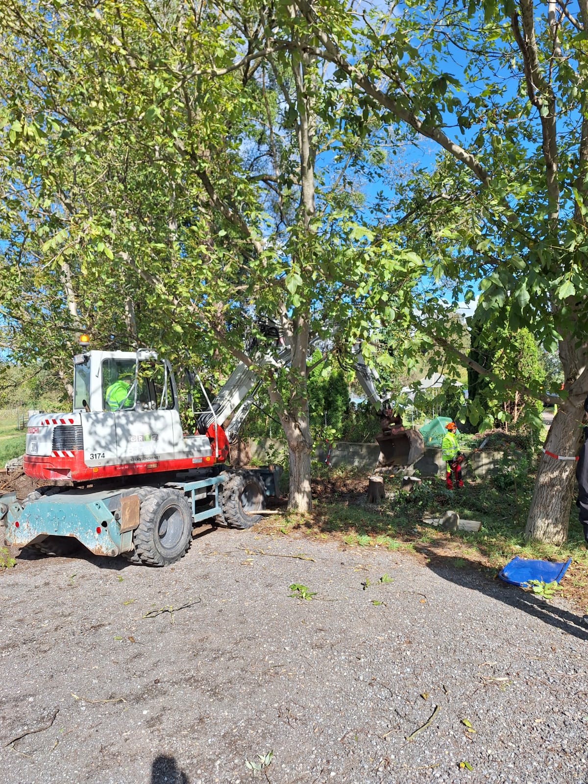 Ein weiß-roter Bagger der Holding Graz räumt in Grünanlage Sturmschäden weg.