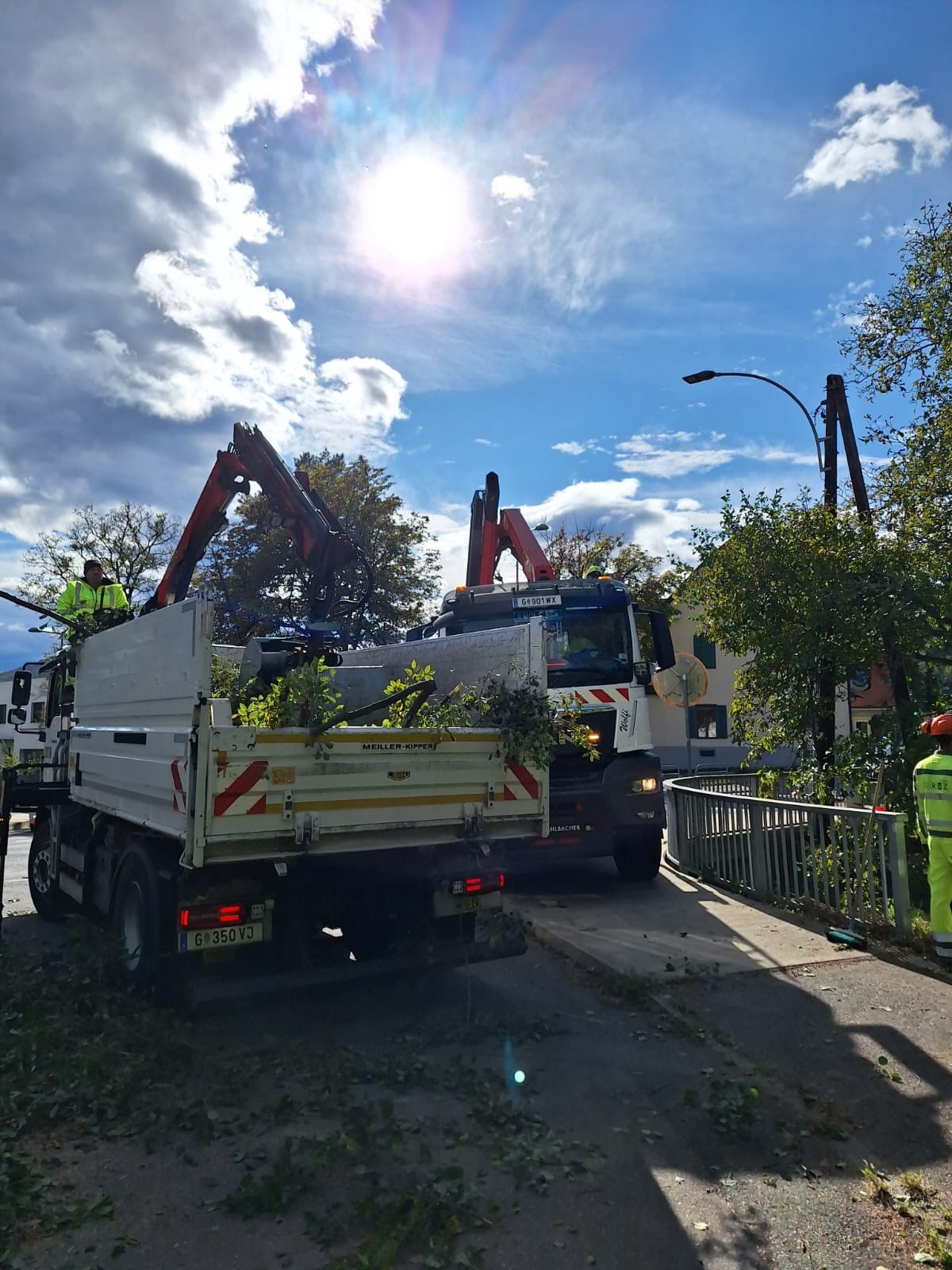 Zwei Lastwagen mit Kranarmen stehen auf einer Straße und laden Äste in ihre Ladeflächen.
