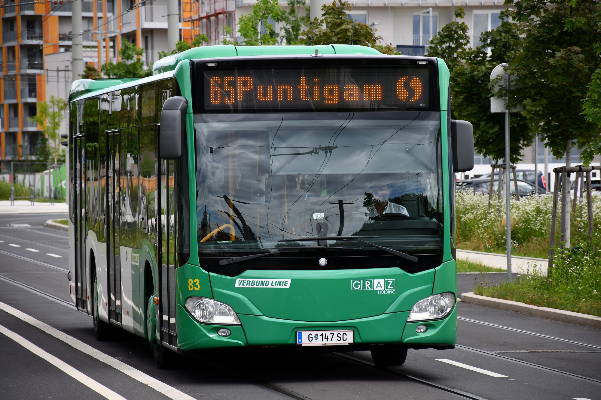 Grüner Bus der Linie 65 fährt auf einer Straße