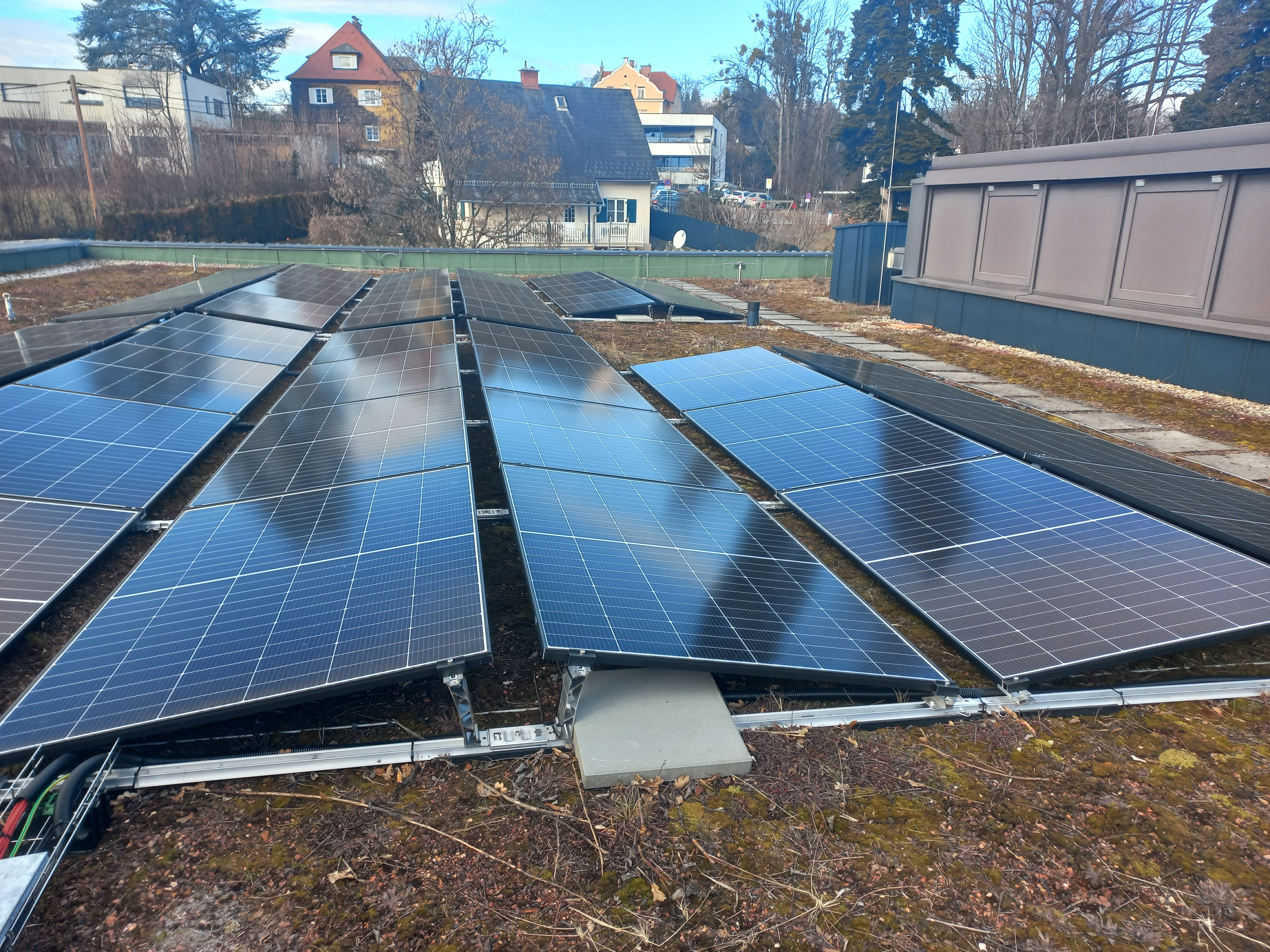 Solarpanele auf einem begrünten Dach.