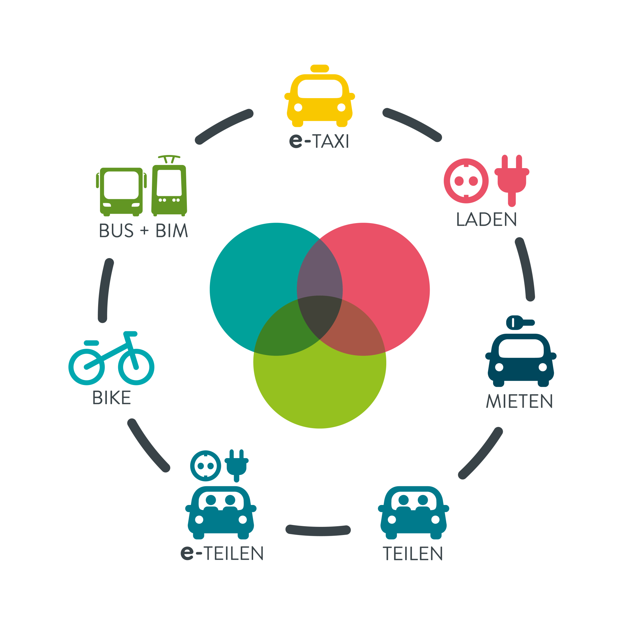 Graphische Darstellung des tim-Kreislaufs