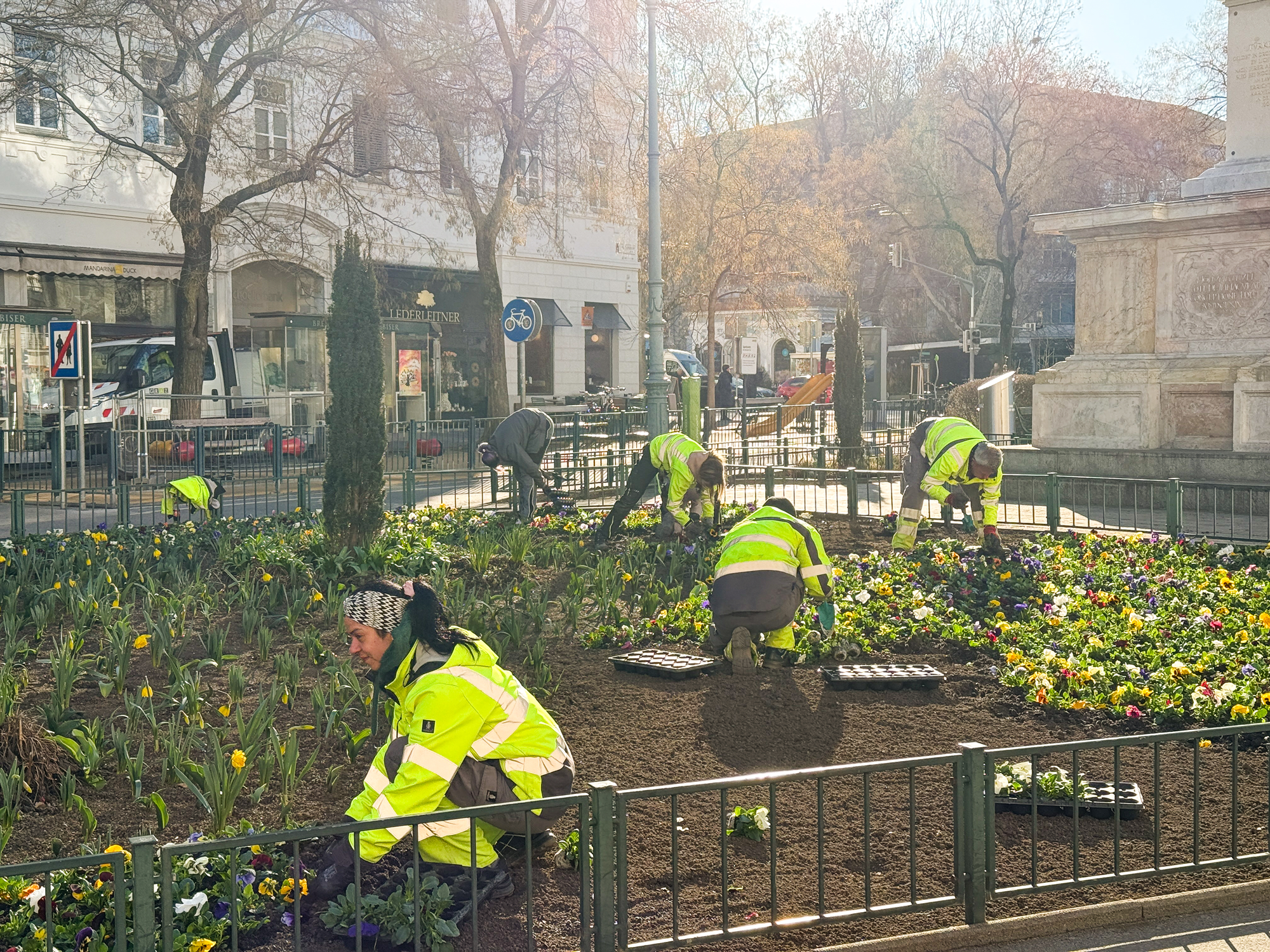 Gärtner in Graz bepflanzen ein Blumenbeet mit bunten Frühlingsblumen.