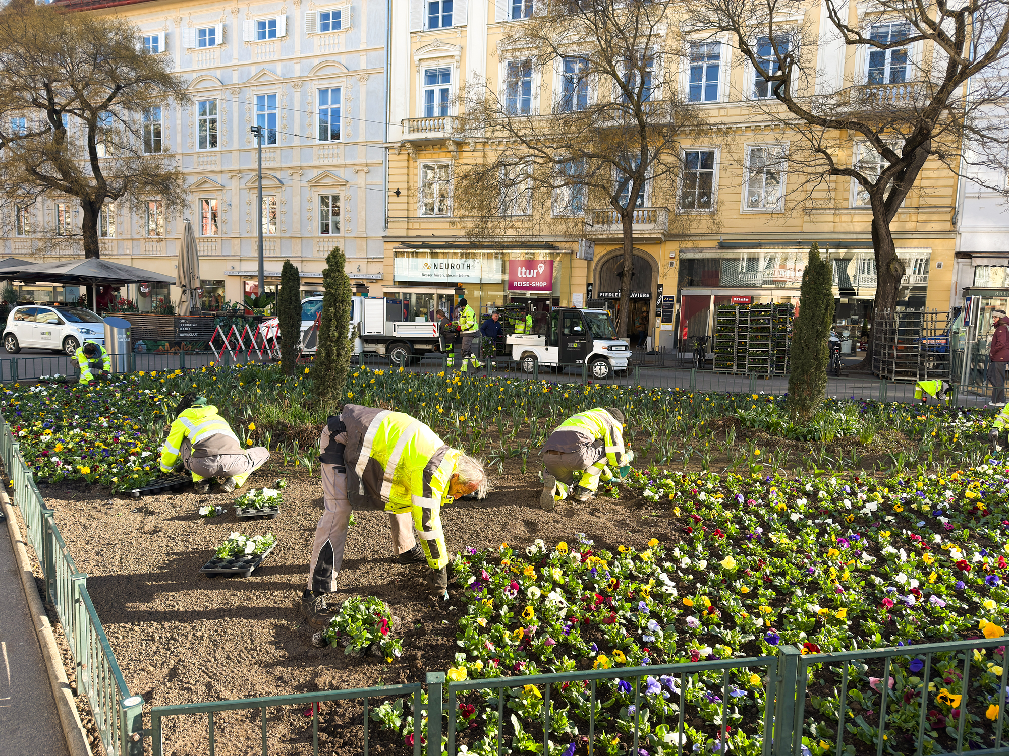 Gärtner pflanzen Blumen in Graz, Österreich. Gebäude und Geschäfte im Hintergrund.