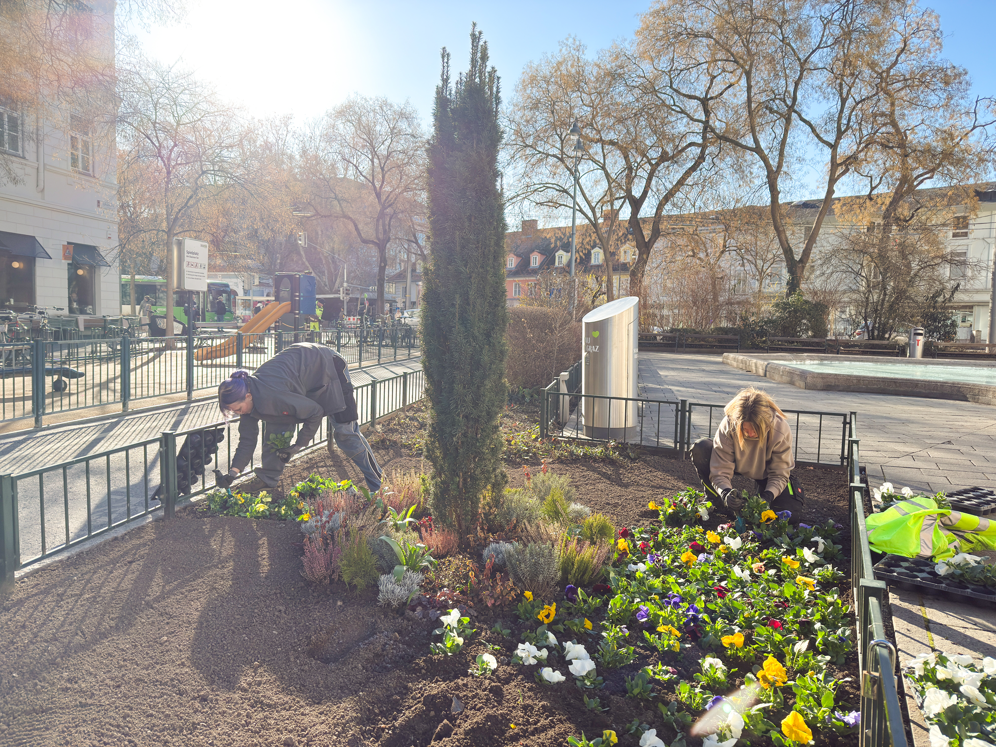 Gärtner pflanzen Blumen in Graz, Österreich. Gebäude und Bäume im Hintergrund.