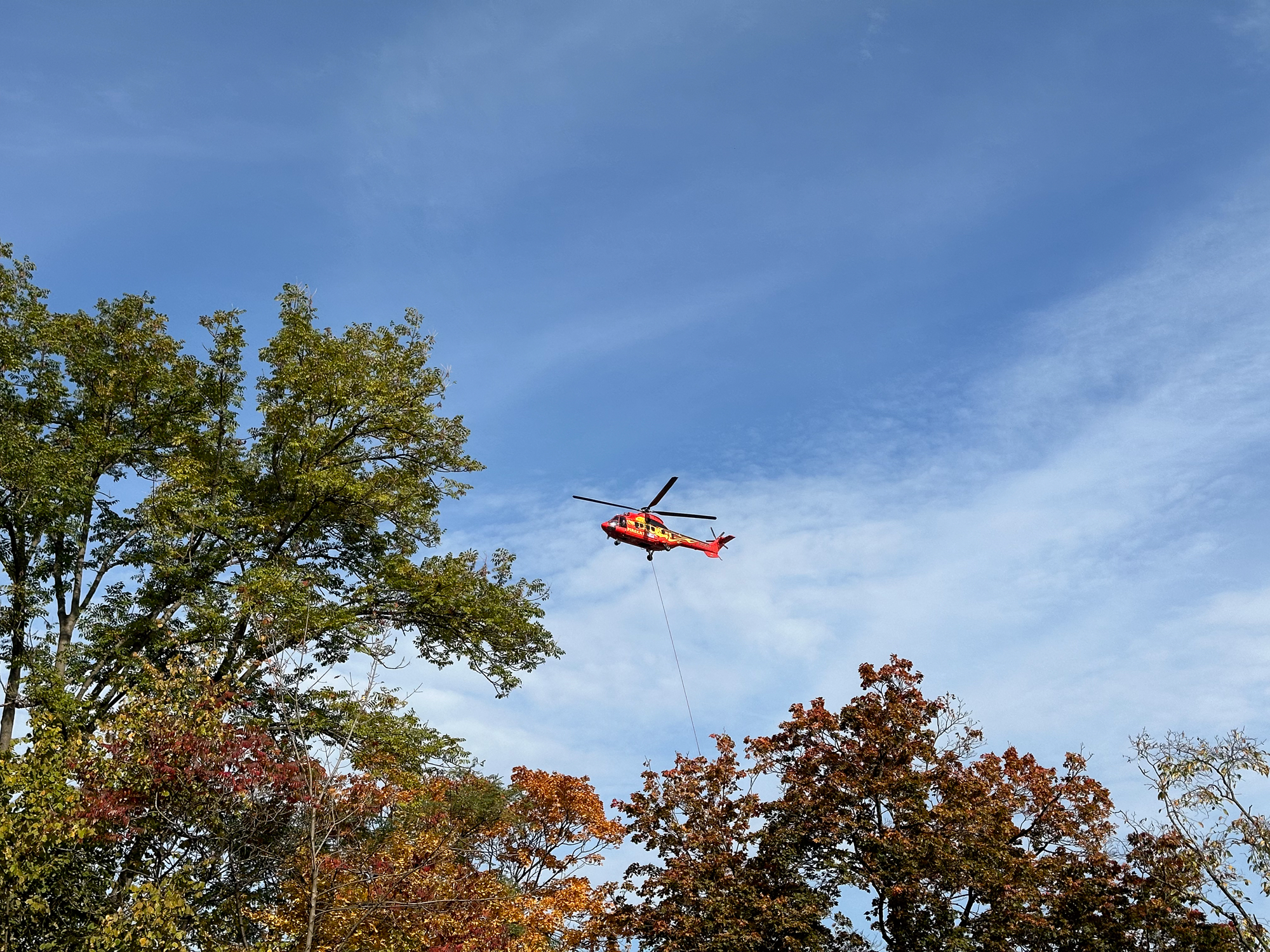 Roter Hubschrauber schwebt über Bäumen gegen blauen Himmel.