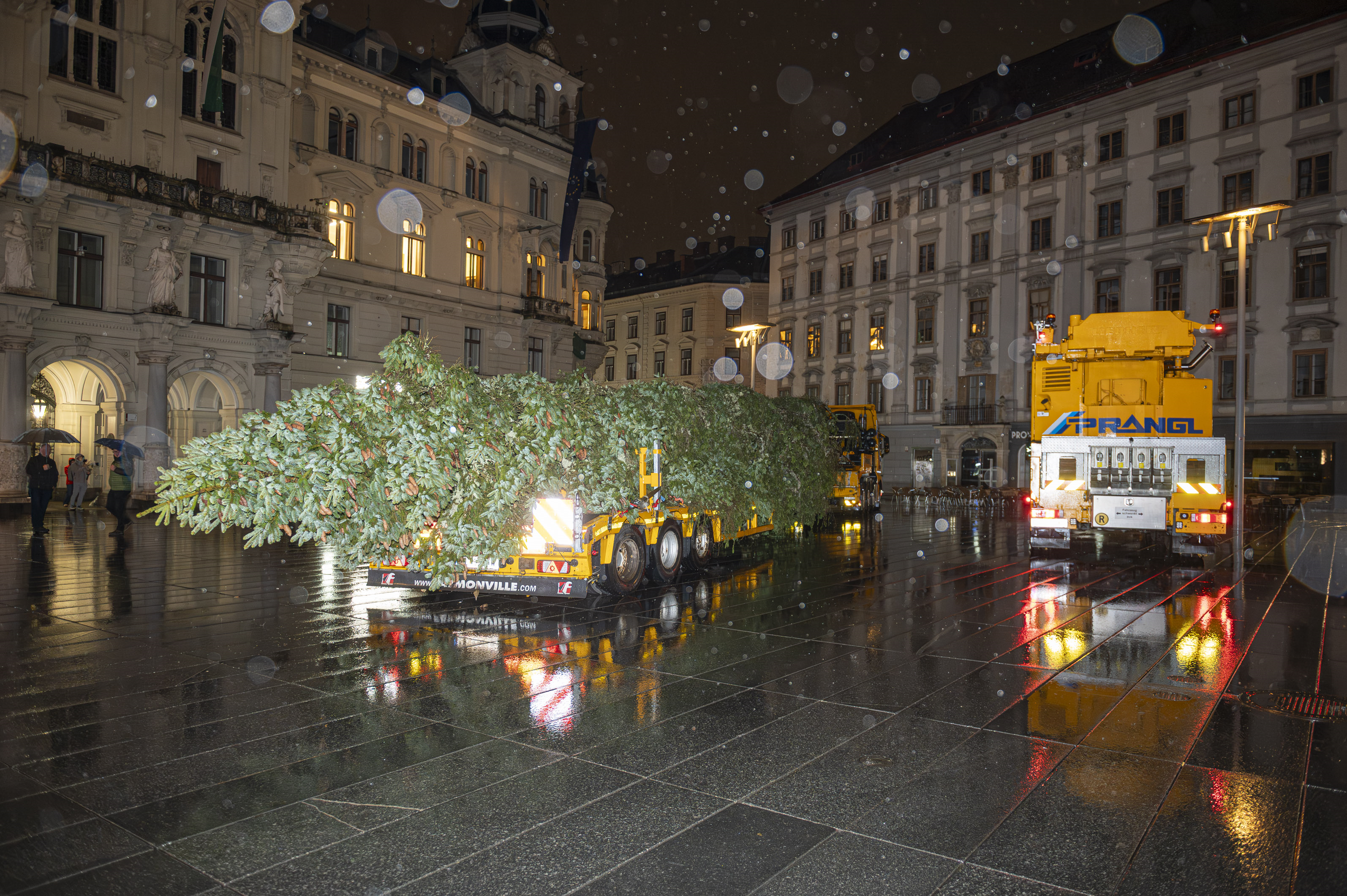 Ein LKW mit Weihnachtsbaum in Graz, nachts, nass. „Prangl“ steht auf dem gelben LKW.