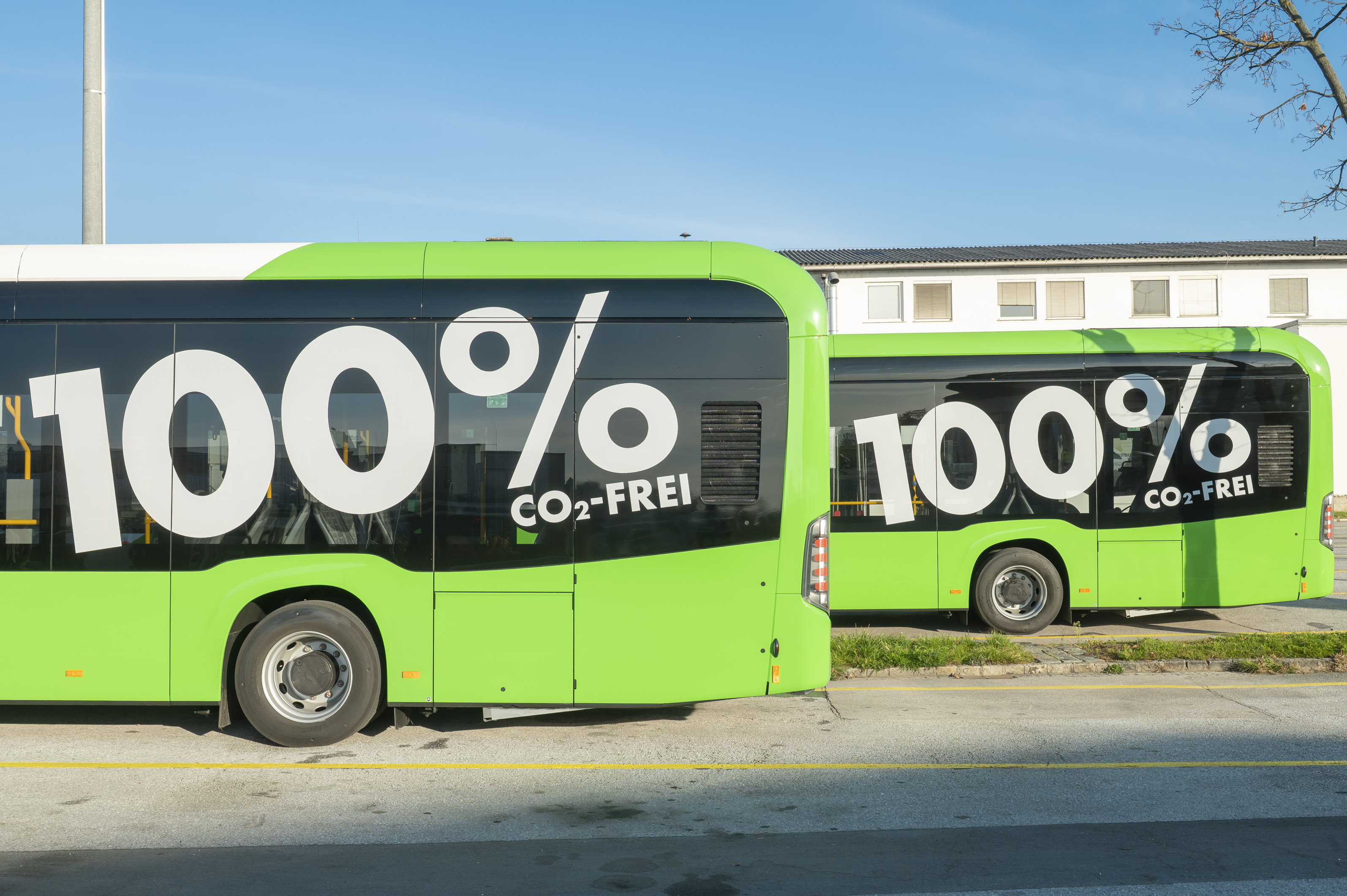 Zwei grüne Busse mit Aufschrift "100% CO2-FREI" in Graz.