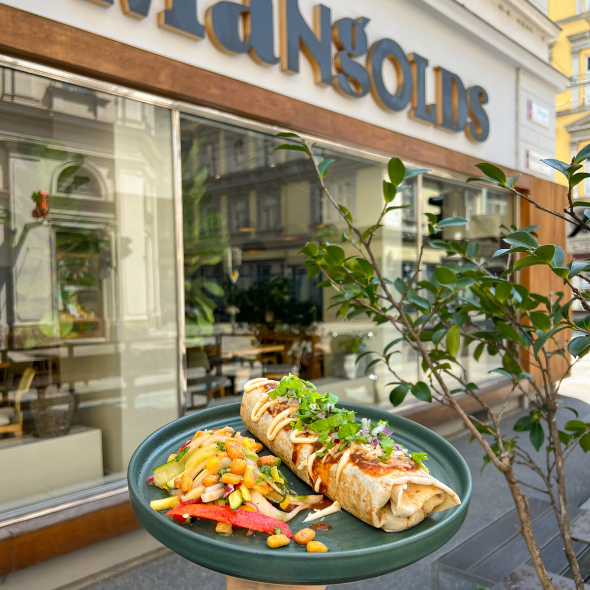 Burrito und Salat von Mangolds, Graz, auf einem Teller haltend.