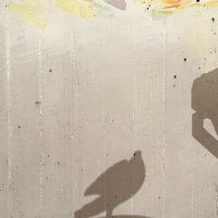 Schatten einer Taube und Laterne auf einer Betonwand in Graz.