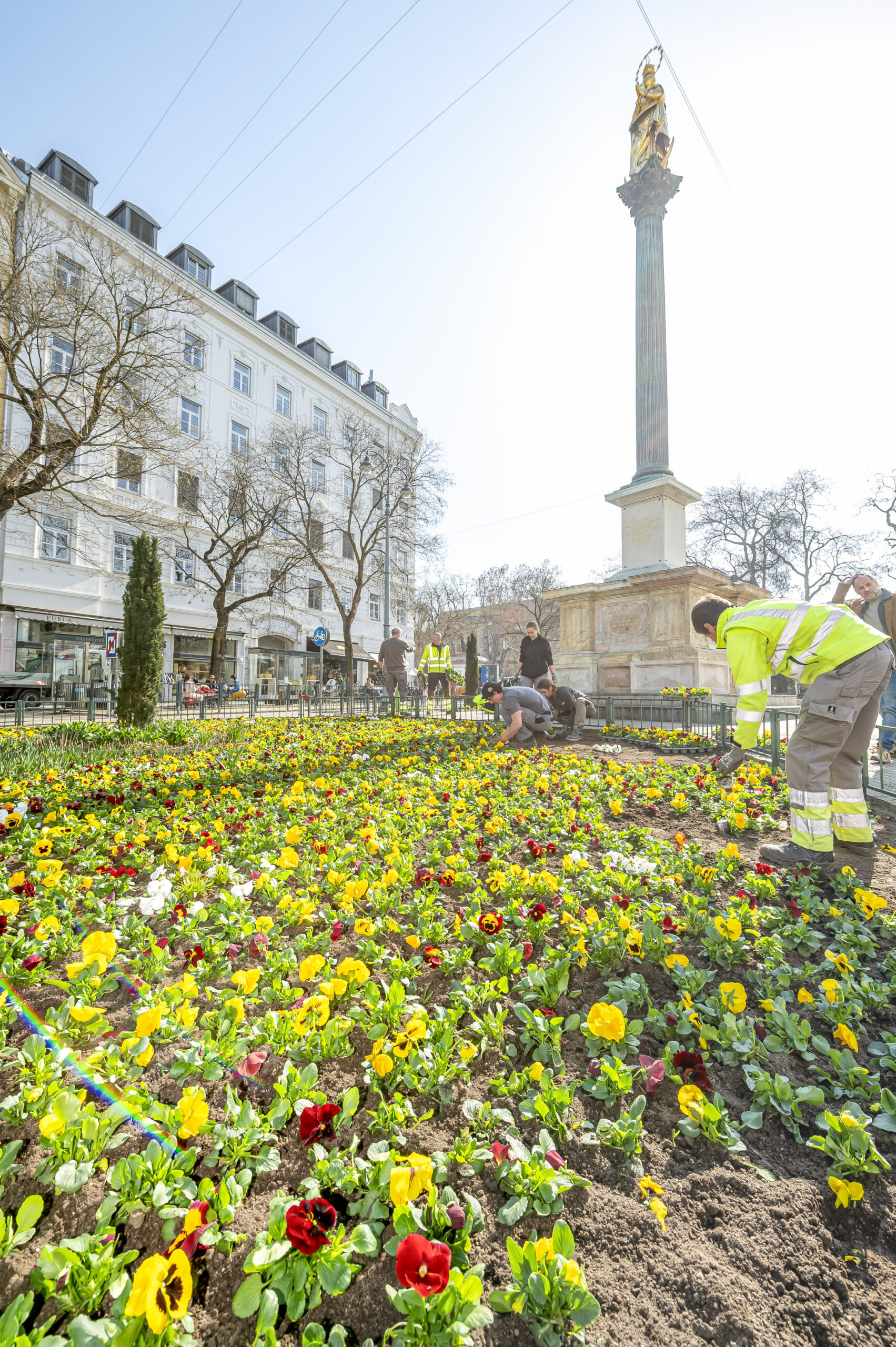 Blumenbeet in Graz mit der Mariensäule und Bauarbeitern im Hintergrund.