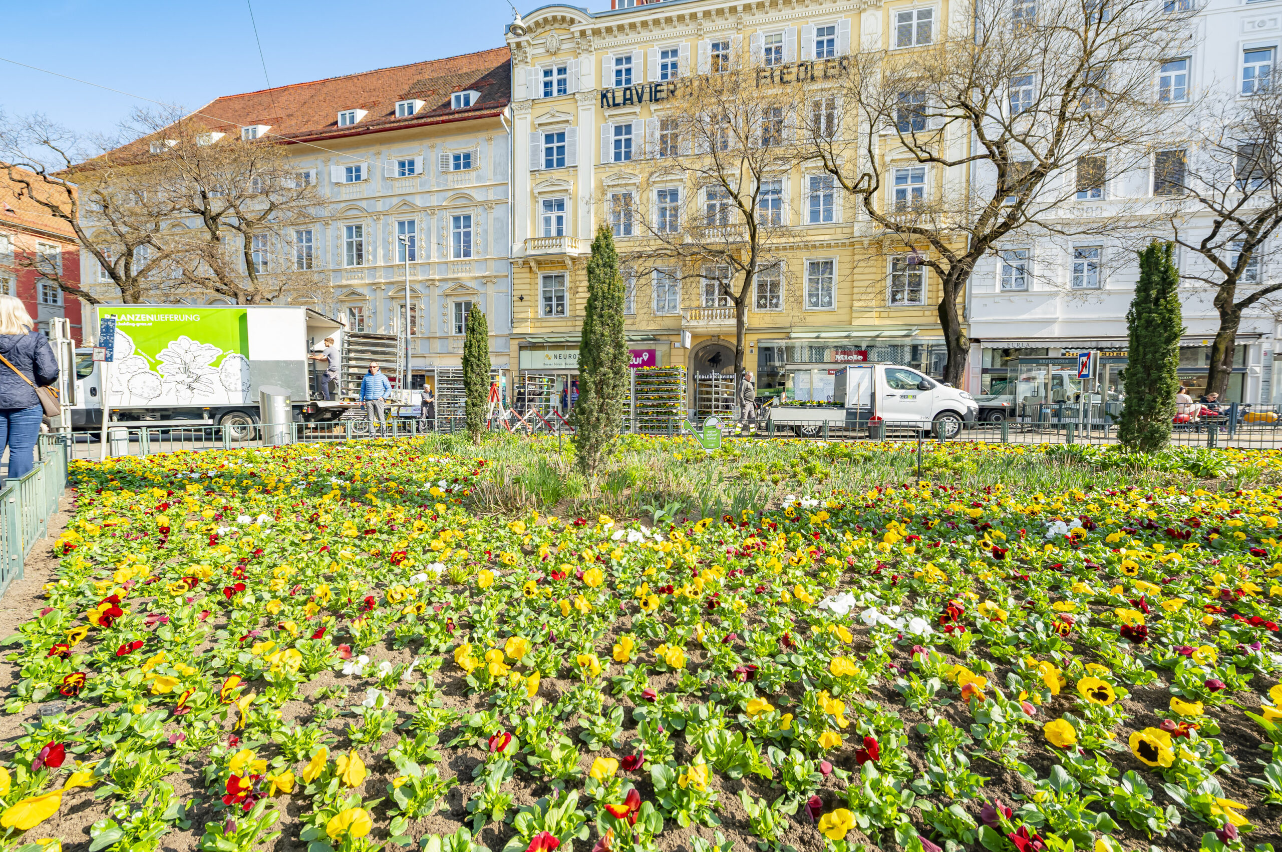 Ein Blumenbeet in Graz vor dem Klavierhaus Fiedler.