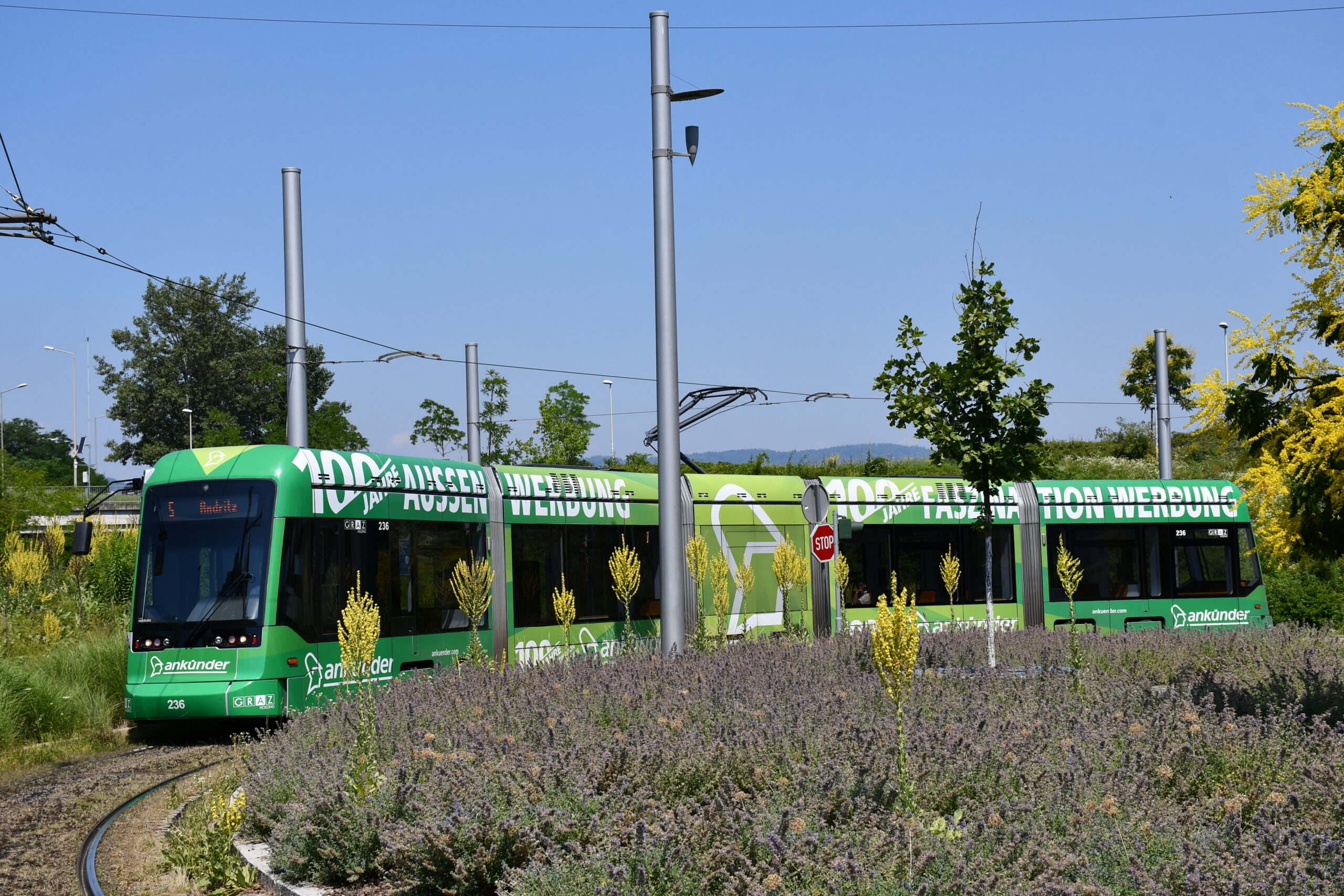 Grüne Grazer Straßenbahn mit „100 Jahre Außenwerbung“-Aufschrift fährt Kurve.