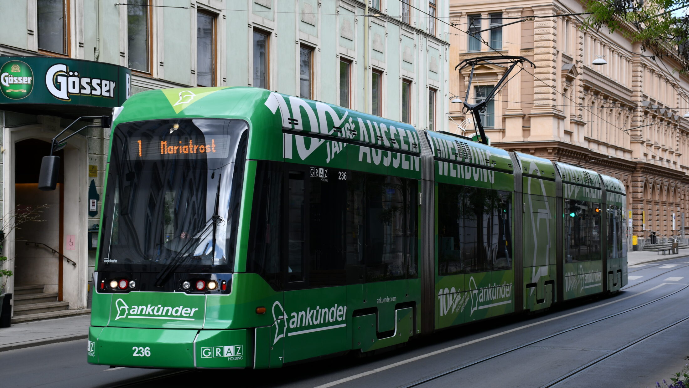 Eine grüne Straßenbahn der Linie 1 mit Ankünder-Werbung fährt durch eine Straße.